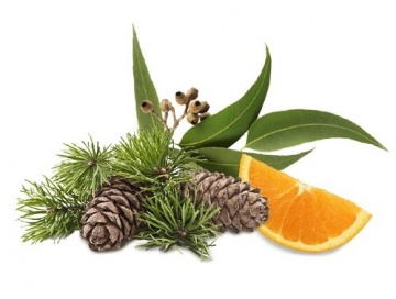 Olje za finsko savno 100 ml - CEDAR/EUKALIPTUS/POMARANČA